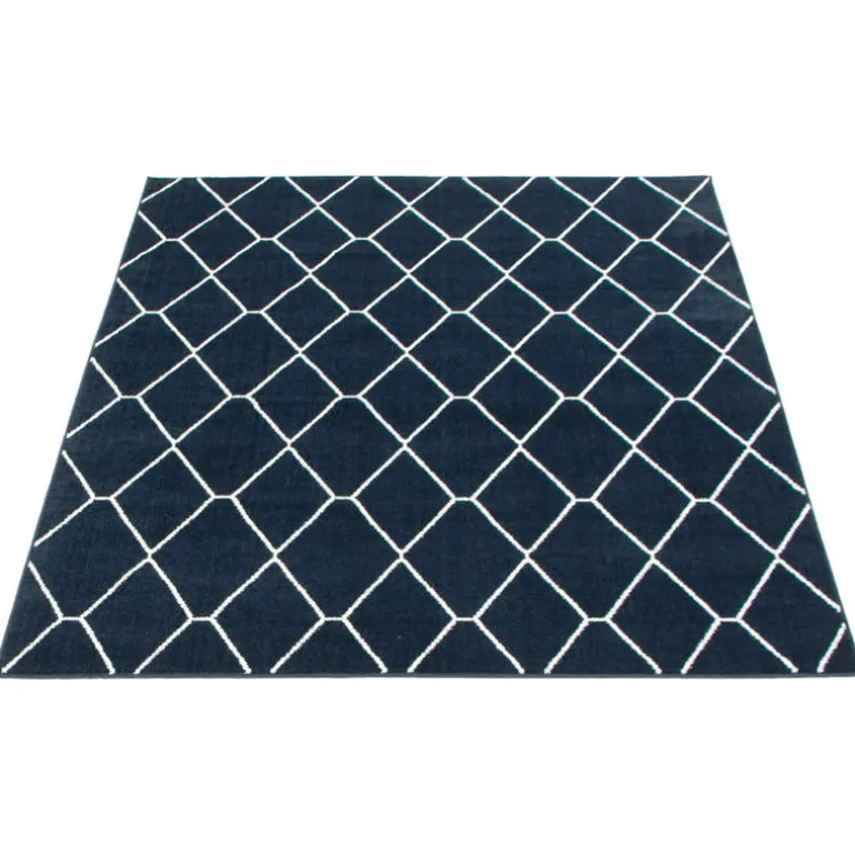 Indoor Rug - 8 x 10