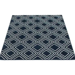 Indoor Rug - 8 x 10