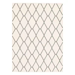 Indoor Rug - 8 x 10