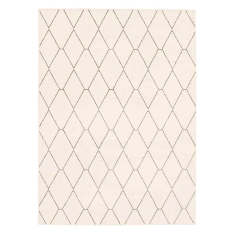 Indoor Rug - 7 x 10