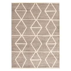 Indoor Rug - 8 x 10