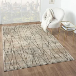 Indoor Rug - 5 x 8