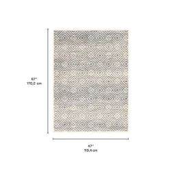 Indoor Rug - 4 x 6