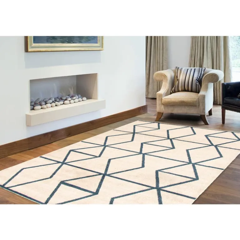 Indoor Rug - 4 x 6