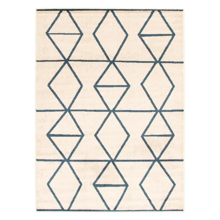 Indoor Rug - 4 x 6