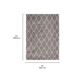 Indoor Rug - 7 x 10