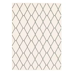 Indoor Rug - 5 x 7