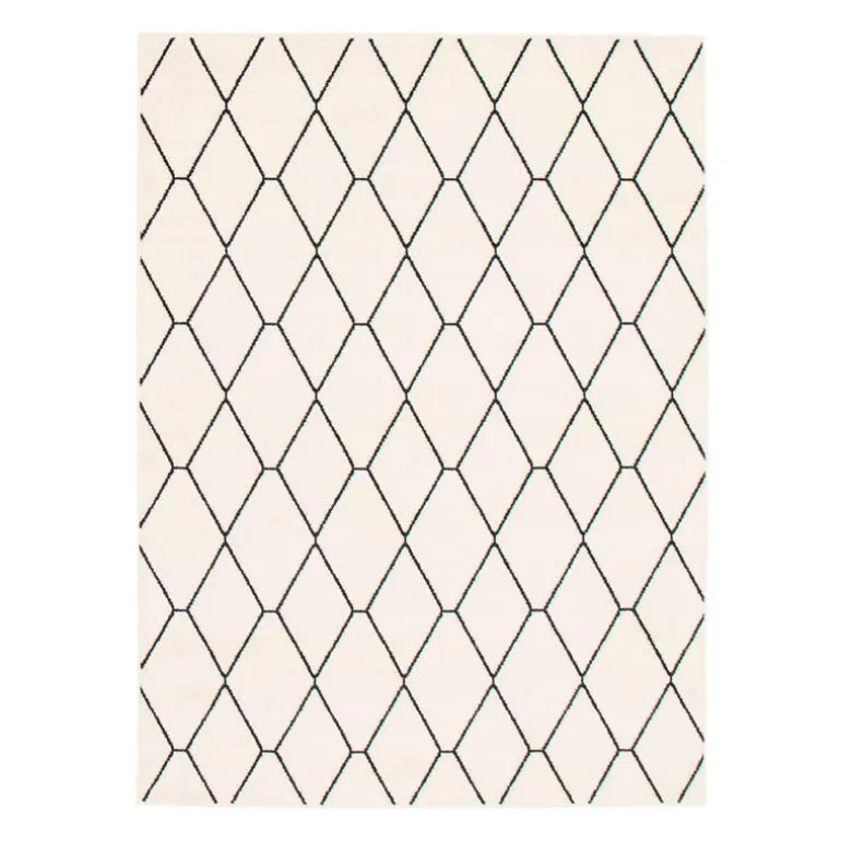 Indoor Rug - 5 x 7