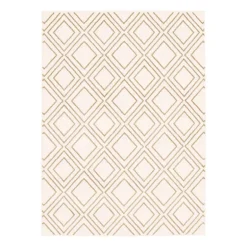 Indoor Rug - 5 x 7