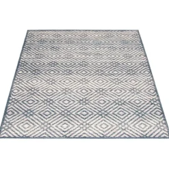 Indoor Rug - 8 x 10