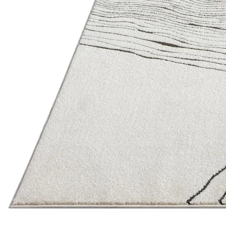 Indoor Rug - 5 x 8