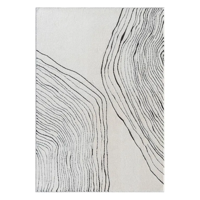 Indoor Rug - 5 x 8