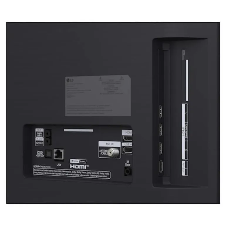 LG 48 In Smart TV OLED UHD 4K - OLED48C6PUA