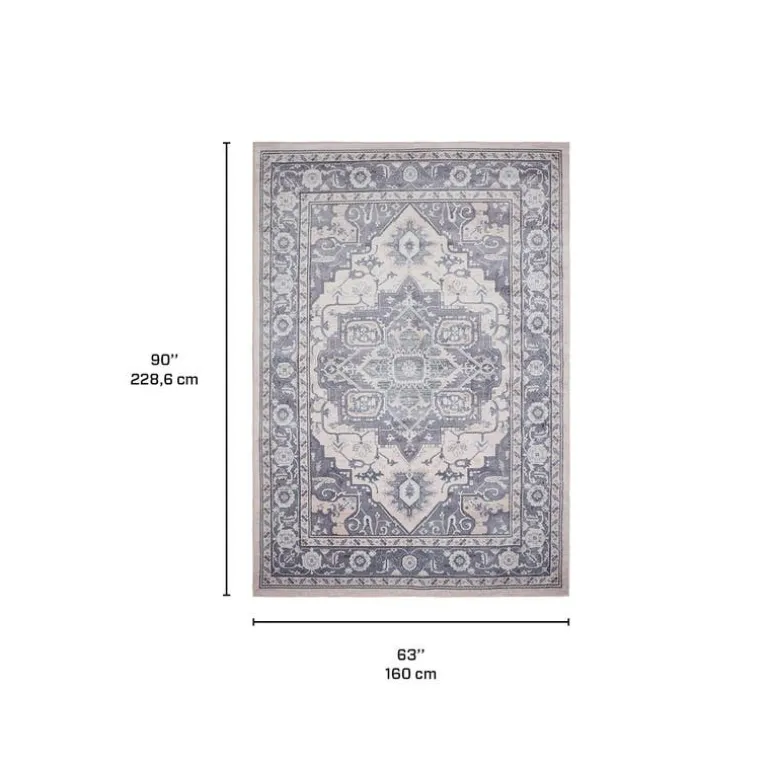 Machine Washable Indoor Rug - 5 x 7