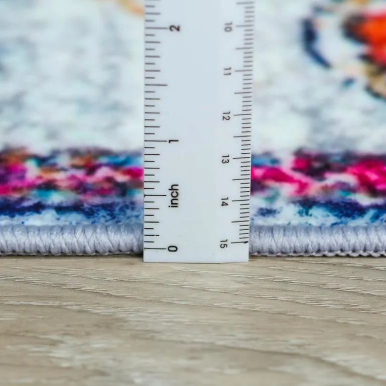 Machine Washable Indoor Rug - 5 x 7