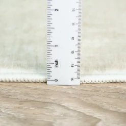 Machine Washable Indoor Rug - 5 x 7