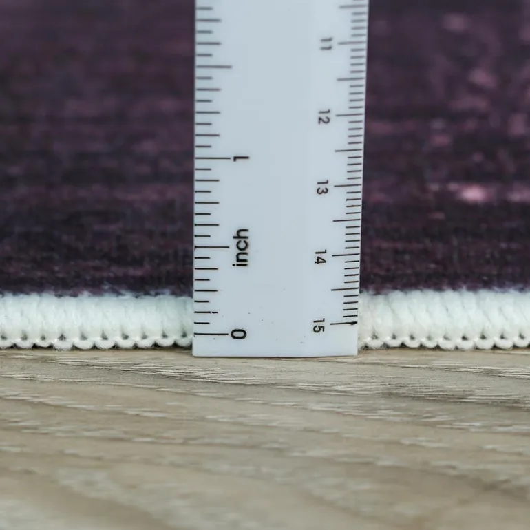 Machine Washable Indoor Rug - 5 x 7