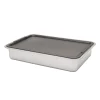 Marinade and Oven Pan