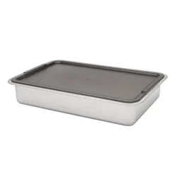 Marinade and Oven Pan