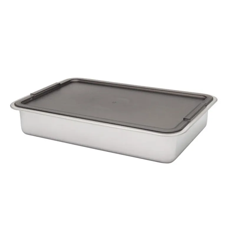 Marinade and Oven Pan