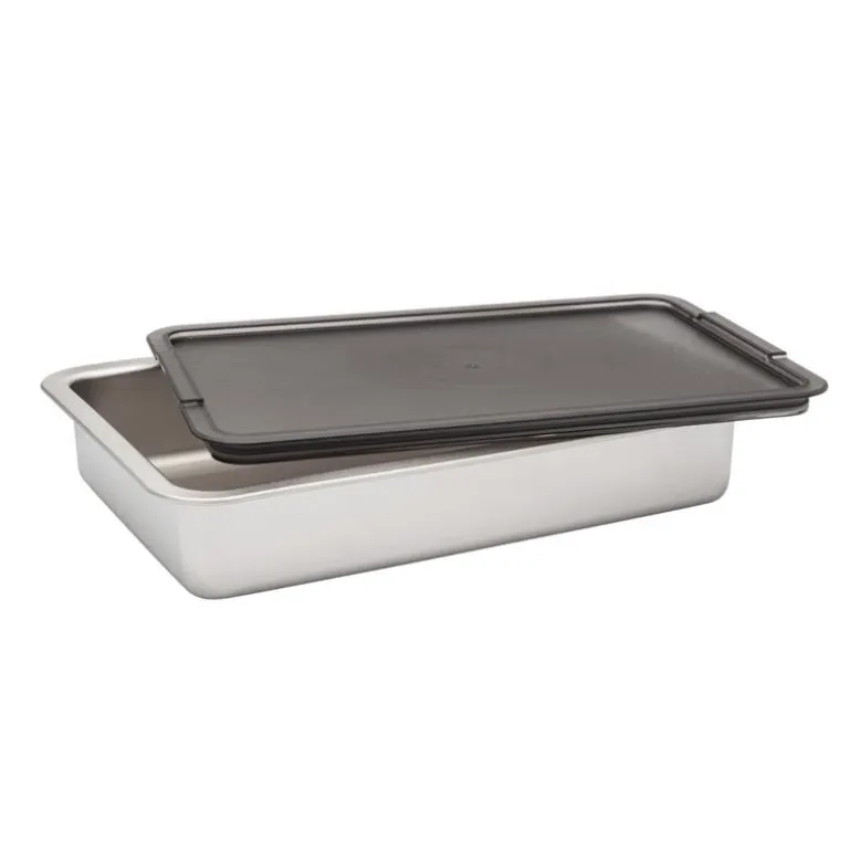 Marinade and Oven Pan