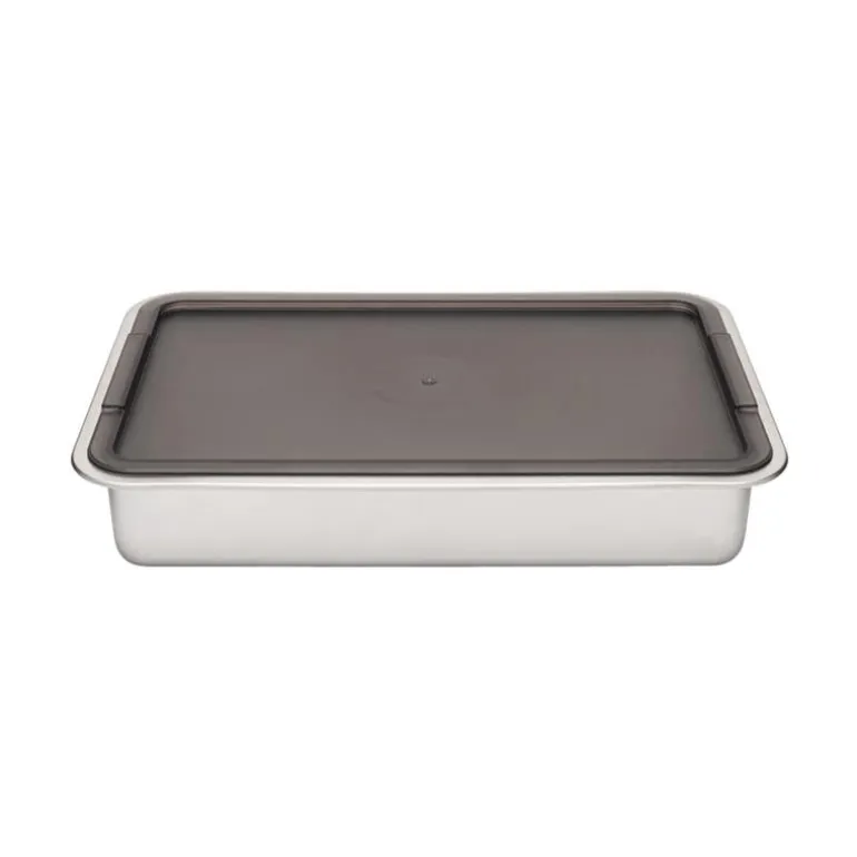 Marinade and Oven Pan