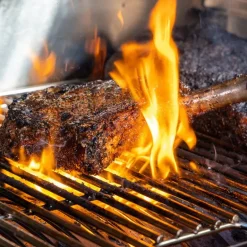 Pit Boss Wood Pellet Grill and Smoker