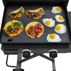 Portable Propane Gas Griddle with 2 Burners - 24 000 BTU