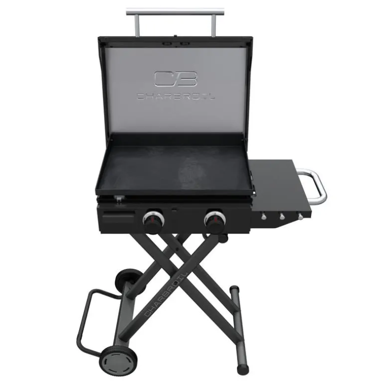 Portable Propane Gas Griddle with 2 Burners - 24 000 BTU