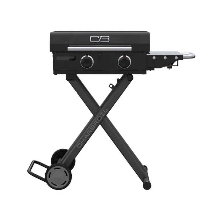 Portable Propane Gas Griddle with 2 Burners - 24 000 BTU
