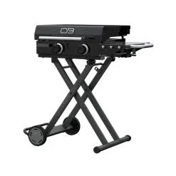 Portable Propane Gas Griddle with 2 Burners - 24 000 BTU