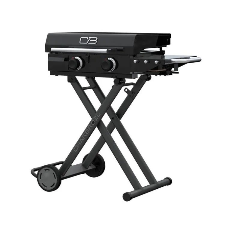 Portable Propane Gas Griddle with 2 Burners - 24 000 BTU