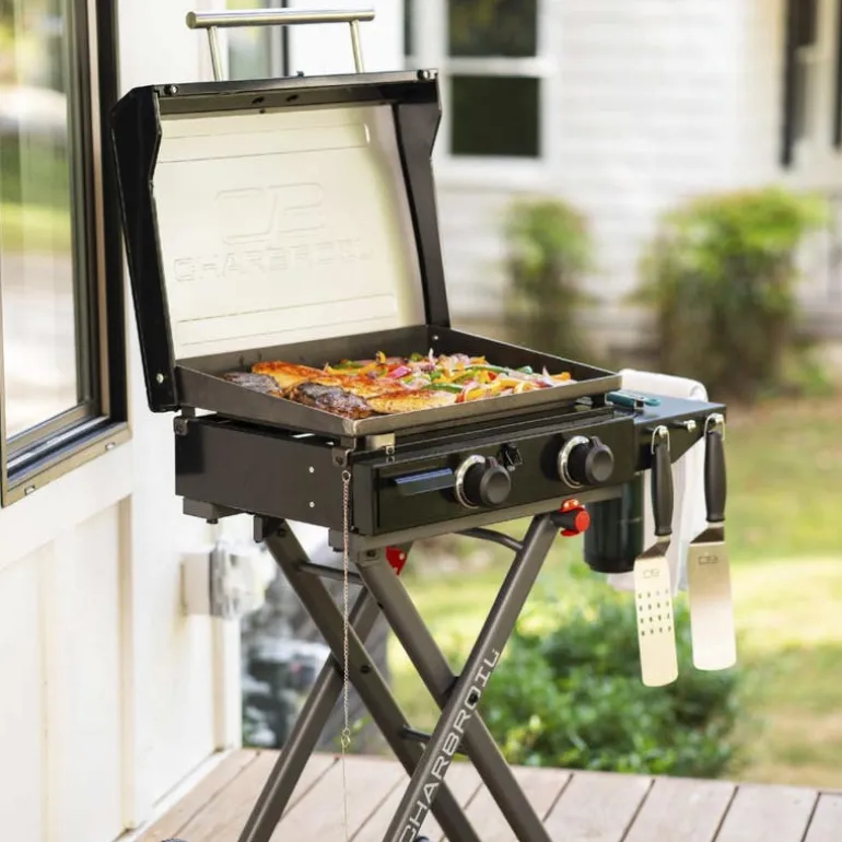 Portable Propane Gas Griddle with 2 Burners - 24 000 BTU