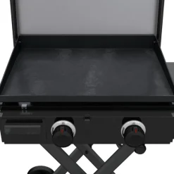 Portable Propane Gas Griddle with 2 Burners - 24 000 BTU