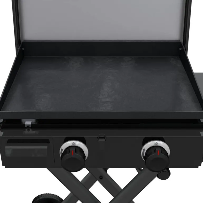 Portable Propane Gas Griddle with 2 Burners - 24 000 BTU