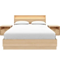 Queen Bedroom Set with Lighting (60