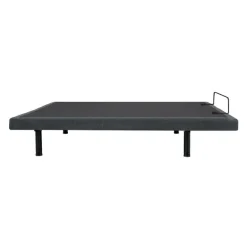 Queen Electric Bed (60