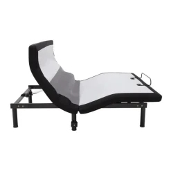 Queen Electric Bed - 60” x 80”