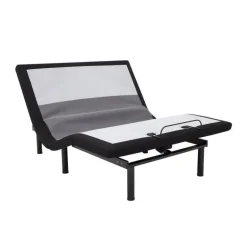 Queen Electric Bed - 60” x 80”