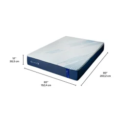 Queen Medium-Firm Memory Foam Mattress-in-a-Box - 60"