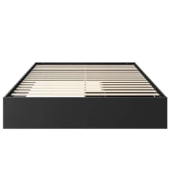 Queen Platform Bed with 2-Drawer Storage (60