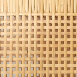 Rattan Lounge Chair