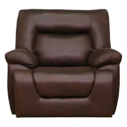 Rocker Recliner