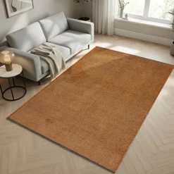 Rust Interior Area Rug - 6 x 9 ft