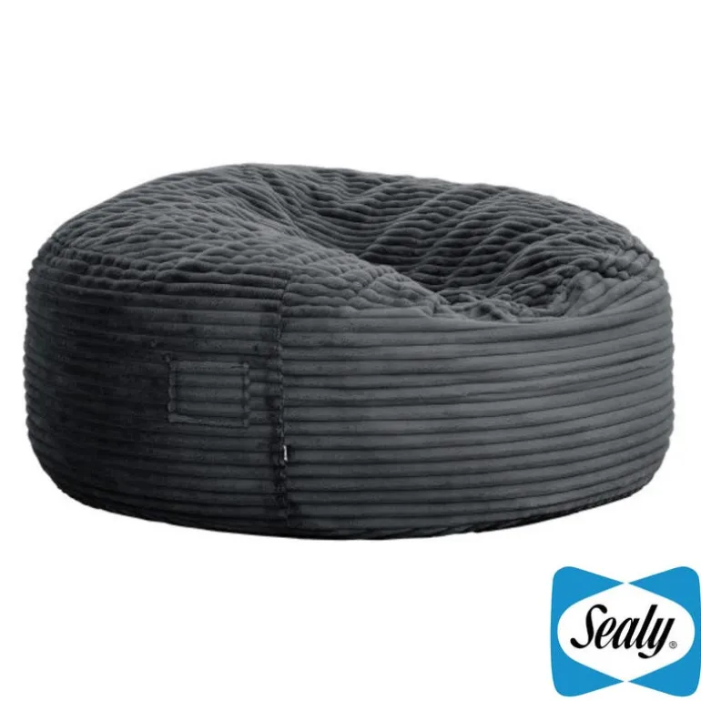Sealy Corduroy Velvet Bean Bag - Charcoal Grey