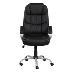 Sealy Office Chair