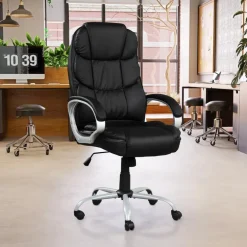 Sealy Office Chair