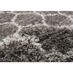 Shag Indoor Rug - 5 x 7