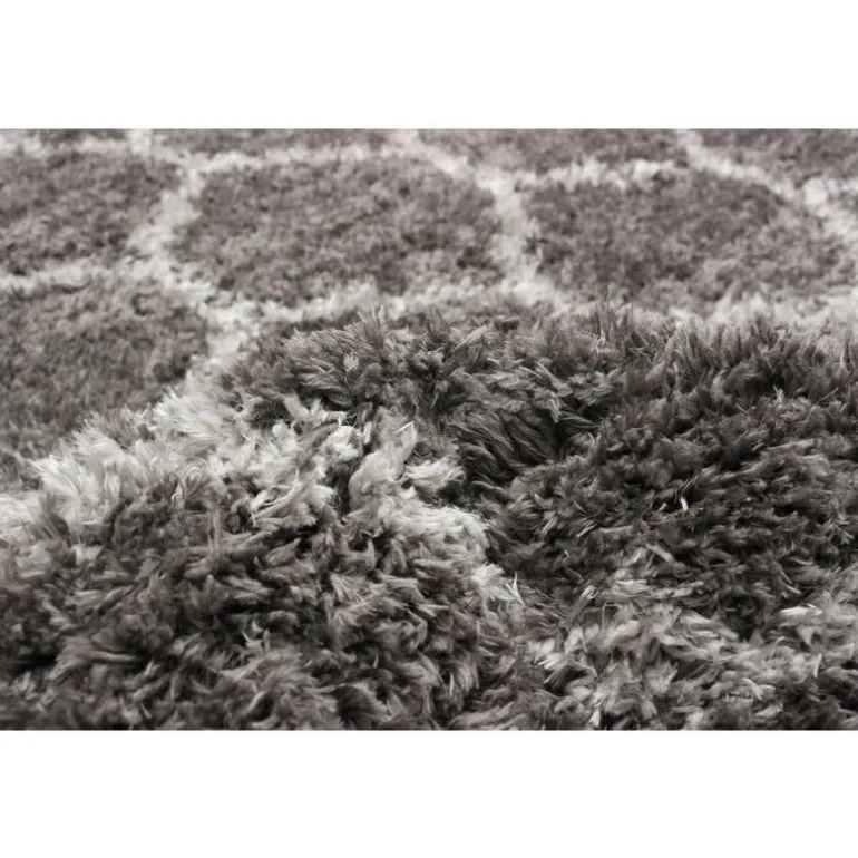 Shag Indoor Rug - 5 x 7
