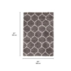 Shag Indoor Rug - 5 x 7